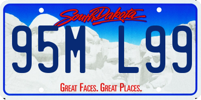 SD license plate 95ML99