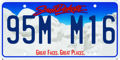 SD license plate 95MM16