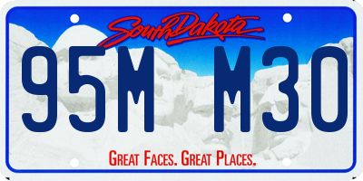 SD license plate 95MM30