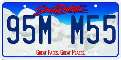 SD license plate 95MM55