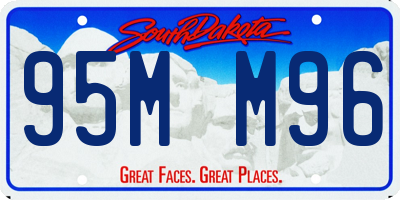 SD license plate 95MM96