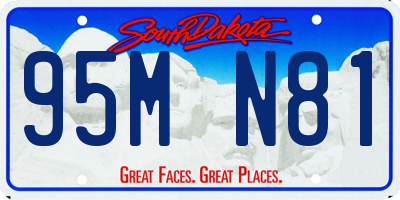 SD license plate 95MN81