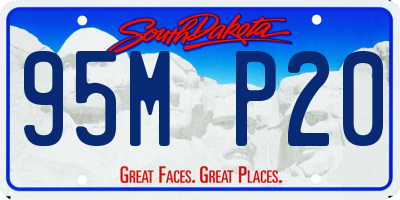 SD license plate 95MP20