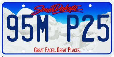 SD license plate 95MP25