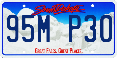 SD license plate 95MP30