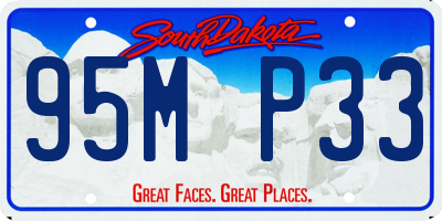 SD license plate 95MP33