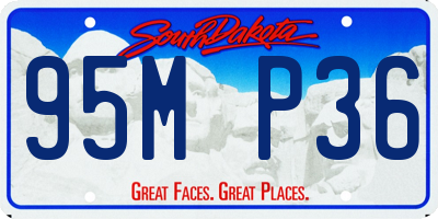 SD license plate 95MP36