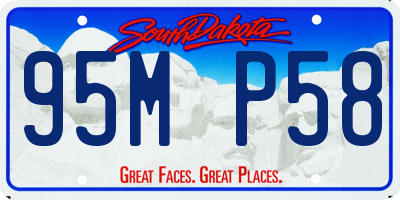 SD license plate 95MP58