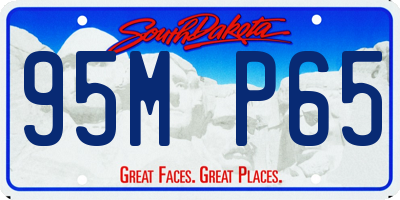 SD license plate 95MP65