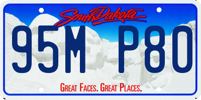 SD license plate 95MP80