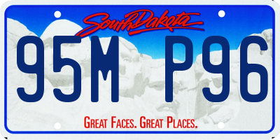 SD license plate 95MP96