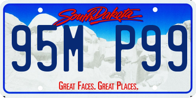 SD license plate 95MP99