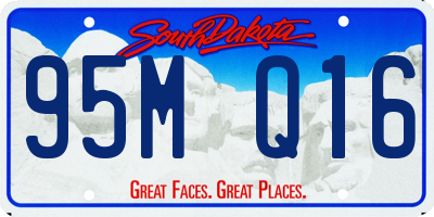 SD license plate 95MQ16