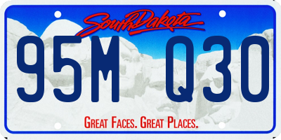 SD license plate 95MQ30