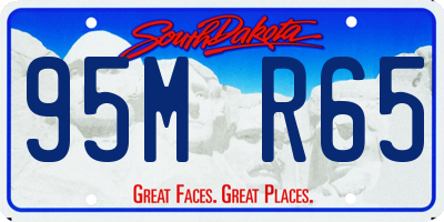 SD license plate 95MR65