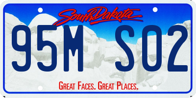 SD license plate 95MS02