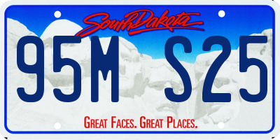 SD license plate 95MS25