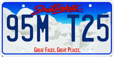 SD license plate 95MT25