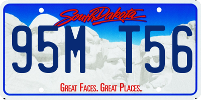 SD license plate 95MT56