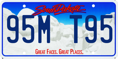 SD license plate 95MT95