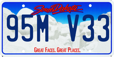 SD license plate 95MV33