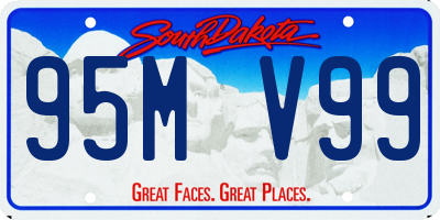 SD license plate 95MV99