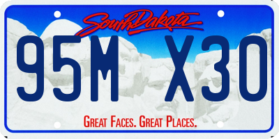 SD license plate 95MX30