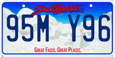 SD license plate 95MY96