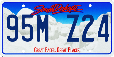 SD license plate 95MZ24