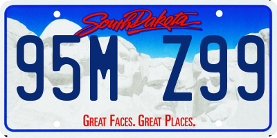 SD license plate 95MZ99
