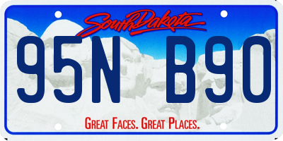 SD license plate 95NB90