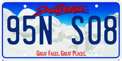 SD license plate 95NS08