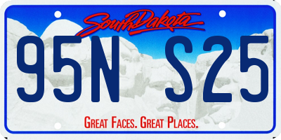 SD license plate 95NS25