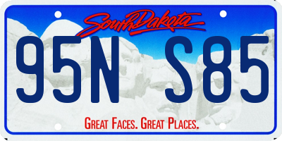 SD license plate 95NS85