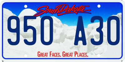SD license plate 95OA30