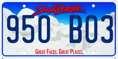 SD license plate 95OB03