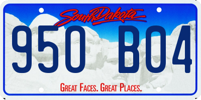 SD license plate 95OB04