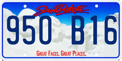 SD license plate 95OB16