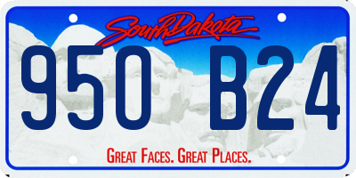 SD license plate 95OB24