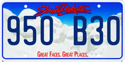 SD license plate 95OB30