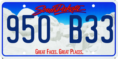 SD license plate 95OB33