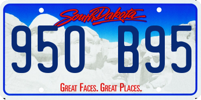 SD license plate 95OB95