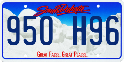 SD license plate 95OH96
