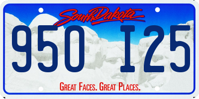 SD license plate 95OI25