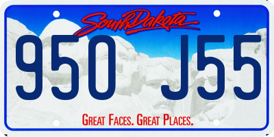 SD license plate 95OJ55
