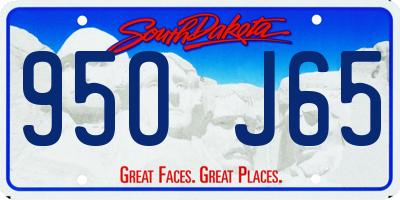 SD license plate 95OJ65