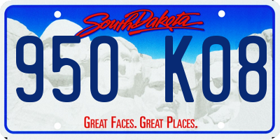 SD license plate 95OK08