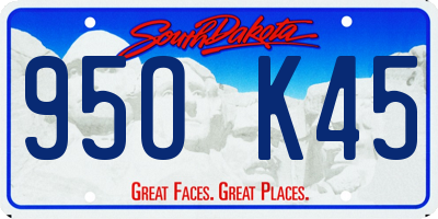 SD license plate 95OK45
