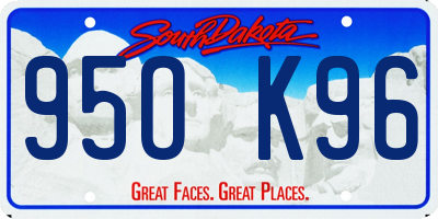 SD license plate 95OK96
