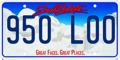 SD license plate 95OL00